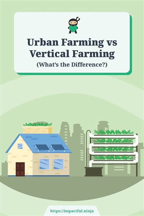 The Urban Farming Versus Vertical Farming What S The Difference