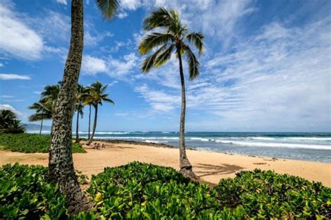 11 Best North Shore Oahu Beaches In Hawaii