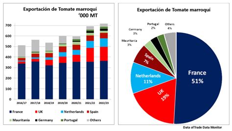 Las exportaciones de tomates de Marruecos alcanzan nuevos máximos A