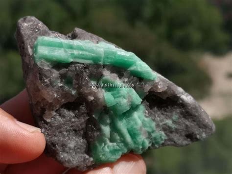 EMERALD BERYL MINERALITUM Exclusive Minerals Online Mineral Shop