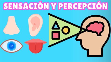 Ejemplos de Sensación y Percepción Descubre cómo interpretamos el mundo