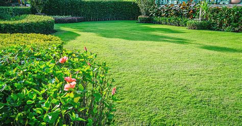 Avoid These Things If You Want To Keep Your Lawn Health