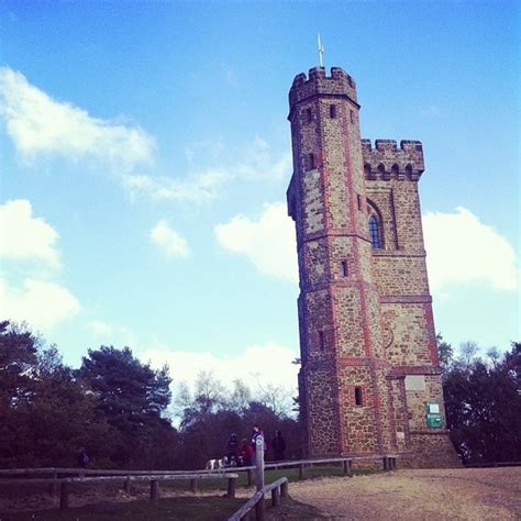 Leith Hill Tower - Scenic Lookout