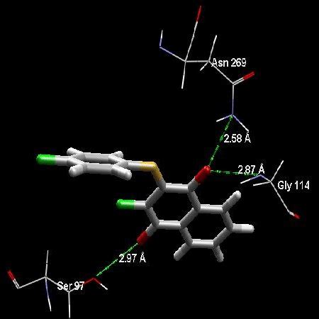 Binding Mode Of Compound 3c In DNA Gyrase Subunit A Escherichia Coli