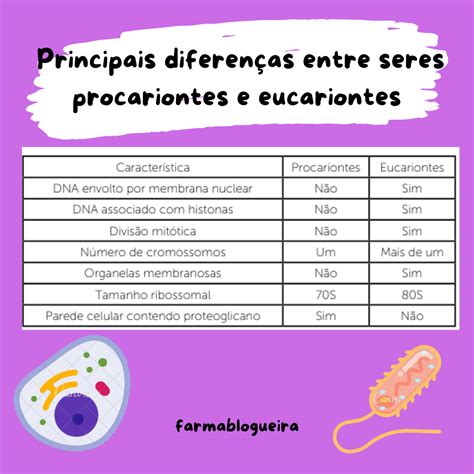 Qual A Diferença Das Celulas Procariontes E Eucariontes