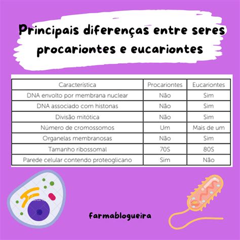 Quais As Diferenças Entre REVOEDUCA