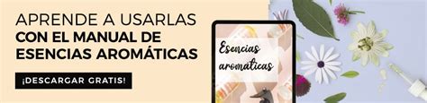 Aromas Navideños Esencias para Velas Jabones y Cosmética