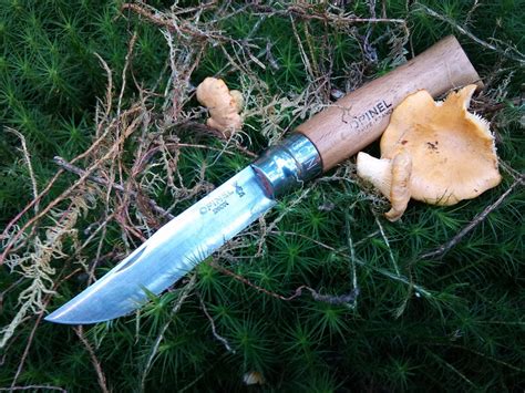 Опинель, простой обычный OPINEL - Guns.ru Talks