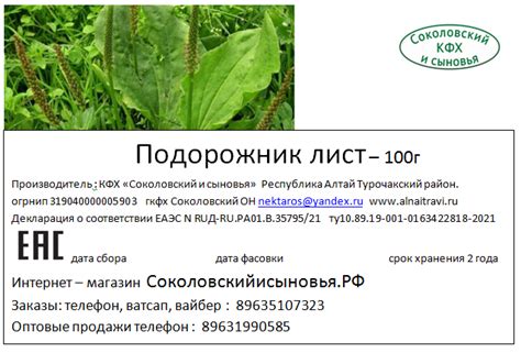 Подорожник лист 100г - Алтайские травы