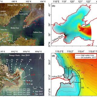 Modeling The Morphological Responses Of The Yellow River Delta To The