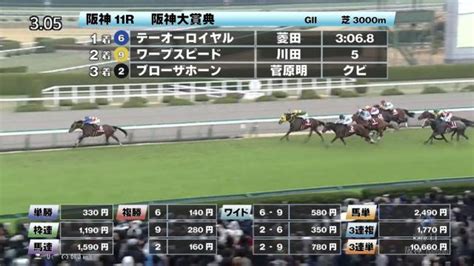 【317 阪神大賞典ほか】阪神ダイジェストjraレース結果 競馬予想動画 Netkeiba