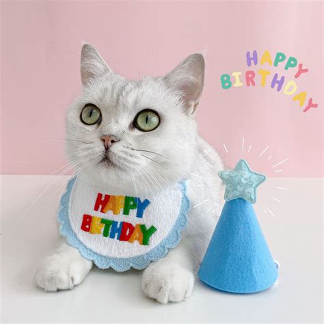 Cat Birthday Party Scarf Hat | cat birthday hat | cat scarf hat ...