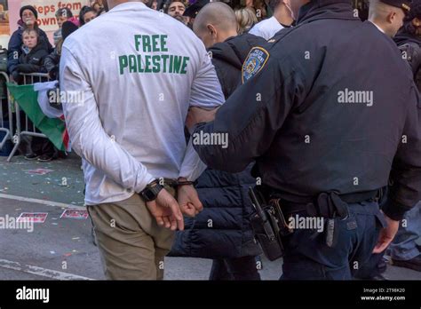 New York United States 23rd Nov 2023 New York New York November 23 A Protester Is