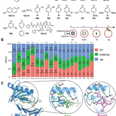 Crystal Structure Of Plk1 Polo Box Domain Pbd And Phosphorylated