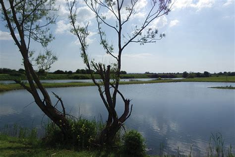 Riverside Holiday Village In Bleadon Somerset