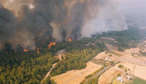 Over 230,000 Acres Reduced to Ash as Greece Continues to Fight Fires ...