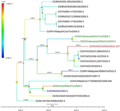 Mcc Maximum Clade Credibility Tree Of Denv Genotype Cosmopolitan