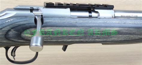 Franken Arms - Waffen- und Munitionshandel - Ruger American Rimfire ...