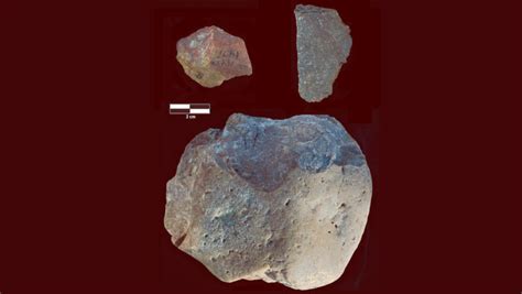 3-Million-Year-Old Oldowan Tools and Cut-Marked Bones Unearthed in ...