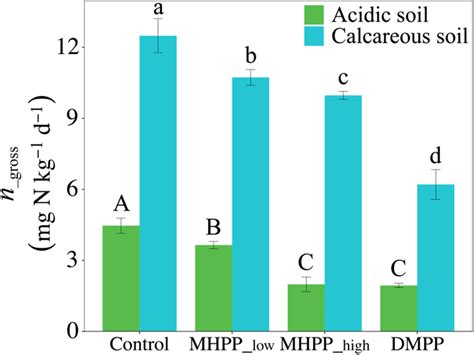 Time Weighted Average Gross N Nitrification Rate N Gross In The