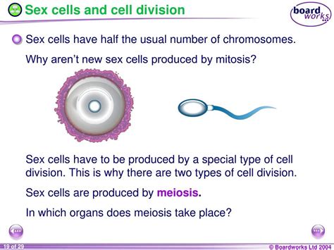 Ppt Ks4 Biology Powerpoint Presentation Free Download Id808746