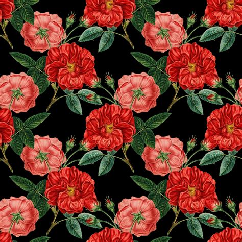 Flowers,vintage,red,rose,roses - free image from needpix.com