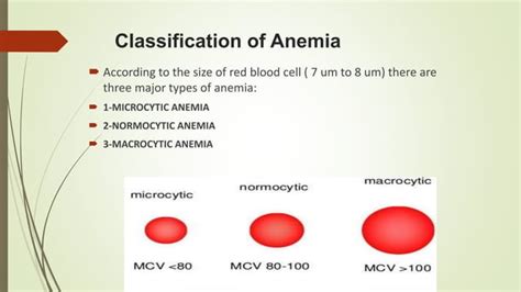 Normocytic Anemia Ppt