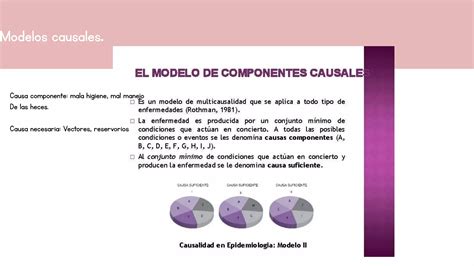 Epidemiologia Amebiasis Intestinal Ppt