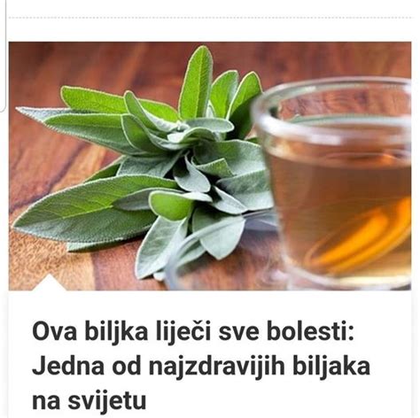 Ova Biljka Lije I Sve Bolesti Jedna Od Najzdravijih Biljaka Na Svijetu