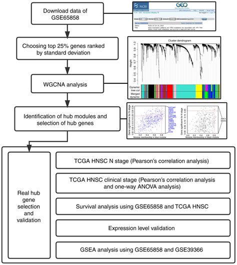 Analysis Of Gene Co‑expression Network Reveals Prognostic Significance