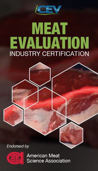 The Meat Evaluation Certification Endorsed By The American Meat Science