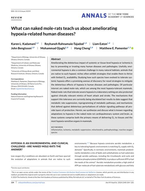 Pdf What Can Naked Molerats Teach Us About Ameliorating Hypoxiarelated Human Diseases