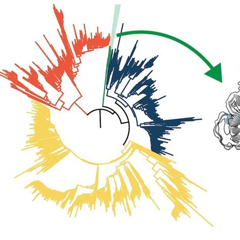 New research sheds light on how circadian rhythms work