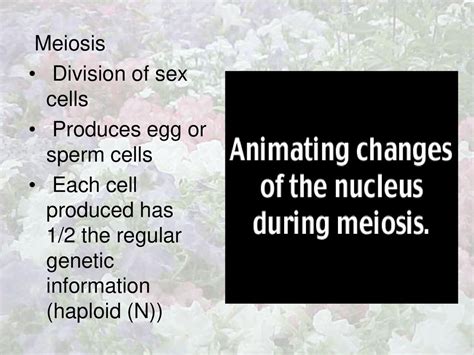 Introduction To Genetics Ppt Download