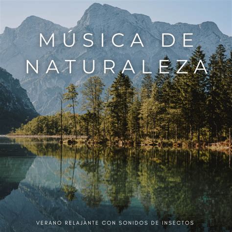 Música De Naturaleza Verano Relajante Con Sonidos De Insectos Album