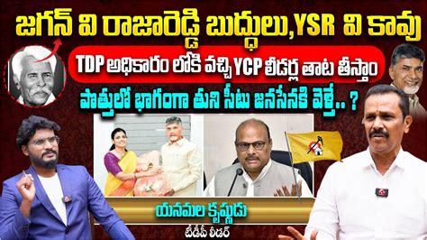 Ysr Tdp Yanamala Krishnudu