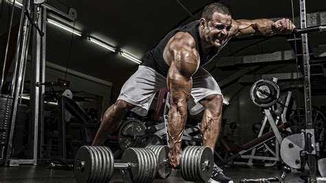 gym bodybuilding  wallpapers wallpaper cave