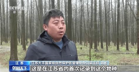 我国64处国际重要湿地保护取得显著成效 湿地调查监测体系初步形成生态国家湿地