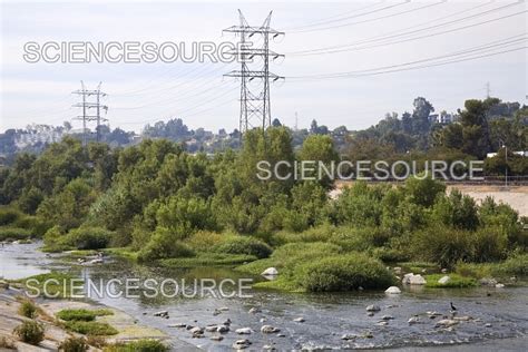 Glendale Narrows Los Angeles River Stock Image Science Source Images