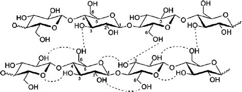 Schematic Representation Of The Intra And Intermolecular Hydrogen