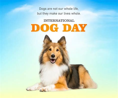 International Dog Day Friday 26th August