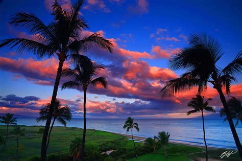 H053 Sunset And Palm Trees Kihei Maui Randall J Hodges Photography