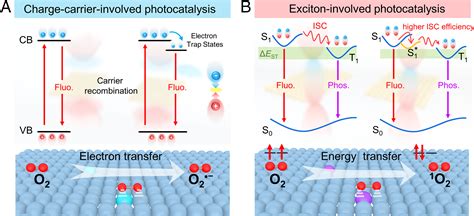 Tailoring Of Electronic And Surface Structures Boosts Exciton