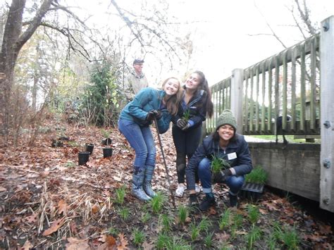 Summerlake Park Planting Tigard It Was A Per Flickr