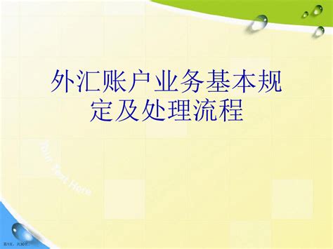 外汇账户业务基本规定及处理流程word文档在线阅读与下载无忧文档