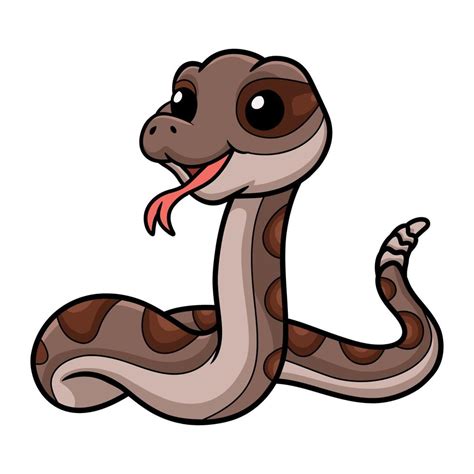 Cute Rattlesnake Cartoon On White Background 19596066 Vector Art At