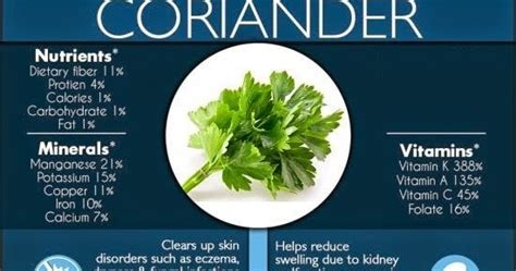 Fresh Coriander Leaves Have Innate Health Secrets