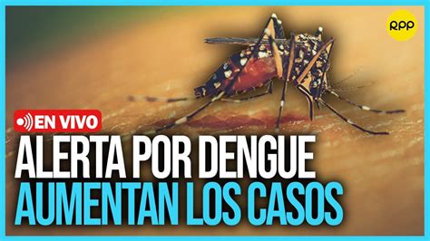 Aumentan casos por dengue en el Perú Qué sabemos sobre esta