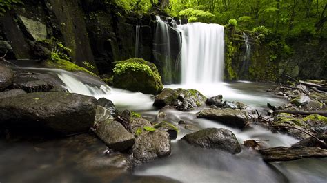 Wallpaper Landscape Forest Waterfall Rock Nature River