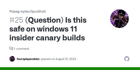 Question Is This Safe On Windows Insider Canary Builds Issue